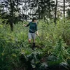 Hrábě Fiskars 170 cm stříbrné stříbrné jedna velikost Náhled obrázku produktu 6