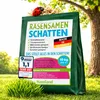 halmland Premium Schattenrasen Samen schnellkeimend 10kg = Produktbild-Vorschau 1