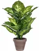 Mica Decorations Plante artificielle Dieffenbachia - Voir les images du produit 1