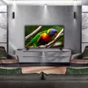 Lg 43qned70a6a 43´´ 4k Qned Tv Durchsichtig Europe PAL / EU Produktbild-Vorschau 18