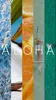 Rayhaan Pacific Aloha, Eau de Parfum, 100 ml Anteprima dell’immagine prodotto 4