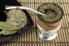 SAFLAX - Garden in the bag - Krzew Herbaciany Mate - 10 Podgląd zdjęcia produktu 5