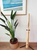 Pacchetto didgeridoo 130 cm - completo di DVD e accessori Anteprima dell’immagine prodotto 14