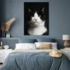MuchoWow® Poster Katze - Schwarz - Weiß 90x120 cm - Produktbild-Vorschau 4