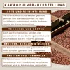 Kakaopulver 500 g teilentölt - nicht alkalisert | bioKontor Produktbild-Vorschau 6