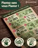 ZenGreens® Graines Bio à Germer Brocoli-Rave 500 g – Voir les images du produit 4