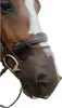 Kentucky Horsewear Anti Fly Nose Net (filet pour nez de Voir les images du produit 2