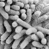 MONZANA® Mikrofaser Felgenbürste mit Soften Borsten Produktbild-Vorschau 4
