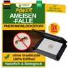 Ameisen Kunststoff Klebefalle mit Pheromonlockstoff – 5x Produktbild-Vorschau 1