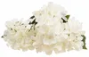 Hortensia Dense Beau Bouquet D'hortensias Fleurs Voir les images du produit 6