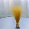 Federgras Getrocknete - (Stipa pennata) - Ingwer Produktbild-Vorschau 6