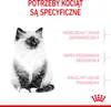 Royal Canin Feline Kitten - 10 kg Podgląd zdjęcia produktu 6