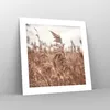 Poster - Poster ohne Rahmen - Zuckerrohr Wiese Boho - 40x40 Produktbild-Vorschau 7
