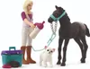 Schleich 42755 - Set per la cura dei puledri (non Anteprima dell’immagine prodotto 1