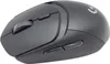 G309 LIGHTSPEED BLACK Gaming-Maus Produktbild-Vorschau 9