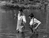 Ein Goldfisch an der Leine Produktbild-Vorschau 5
