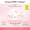 Abib PDRN Collagen Lip Mask Glazed Jelly 11 ml Voir les images du produit 3