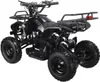 Swoop quad elettrico Ranger 1000W Anteprima dell’immagine prodotto 4
