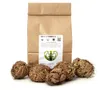 YAKEBA Rose von Jericho 5er-Sparset XS – Selaginella Produktbild-Vorschau 1