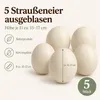5 Stück Deko Straußenei natur, entleert & gereinigt, Länge Produktbild-Vorschau 2