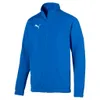 PUMA Herren Sport Pullover Liga Sideline Hoodie Fitness Produktbild-Vorschau 12