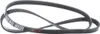 FEBI BILSTEIN Keilrippenriemen 1238mm für VW PASSAT Variant Produktbild-Vorschau 9