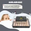 56 Eier Vollautomatisch Inkubator, mit Automatischem Wenden Produktbild-Vorschau 7