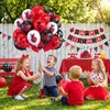 48 Marienkäfer-Latexballons, 12 Zoll, schwarz-weiß-rot, Partydeko Productafbeelding-voorbeeld
