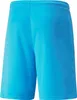 Puma Teamliga Shorts Herren - Atoll Produktbild-Vorschau 2