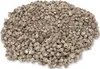 Nerita polita 1kg ca. 1-2cm Produktbild-Vorschau 2