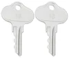 2er-Pack Zündschlüssel für GEHL Lader, Ersatz OEM 089070 Produktbild-Vorschau