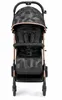 Sport-Kinderwagen Compass | Mehr Farben verfügbar | Produktbild-Vorschau 5