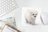 MuchoWow® Mauspad Mousepad Niedlicher kleiner Malteserhund Produktbild-Vorschau 5
