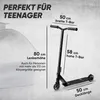 Apollo Stunt Scooter - Star Pro | HighQuality eloxierter Produktbild-Vorschau 6