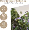 MuchoWow® Produktbild-Vorschau 3