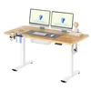 An adjustable standing desk with two monitors, a keyboard, a mouse, and accessories. Podgląd zdjęcia produktu