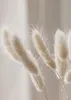 Trayosin 3er Premium Boho Pampas Grass Plakátová sada Náhled obrázku produktu 7