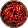 Chilis, ganz, Tianjin Chilis leicht bis mittelscharf, ideal Produktbild-Vorschau 2