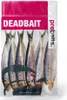 Köderfische Sardinen Groß - Vakuumverpackt | 18-23CM | Produktbild-Vorschau 2