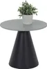 A modern side table with a plant. Anteprima dell’immagine prodotto