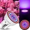 A collage showing a grow light bulb and potted plants under pink light, with a close-up of the grow light and a separate image of the grow light illuminating a surface. Produktbild-Vorschau