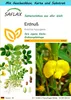 SAFLAX - Geschenk Set - Erdnuß - 8 Samen - Mit Geschenk- / Produktbild-Vorschau 1