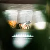 Three clear plastic food storage containers with lids are on a shelf, illuminated by LED lights below. Anteprima dell’immagine prodotto