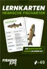 49 Lernkarten für die Fischerprüfung – häufigsten Produktbild-Vorschau 1