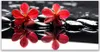 Glasbilder 120x60 Wandbild Druck auf Glas Blumen Steine Produktbild-Vorschau 1