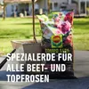 COMPO SANA® Rosenerde - 40 Liter Produktbild-Vorschau 6
