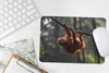 MuchoWow® Mauspad Mousepad Junger Orang-Utan hängt an einem Produktbild-Vorschau 5