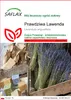 SAFLAX - Prawdziwa Lawenda - 150 Nasiona - Lavandula Podgląd zdjęcia produktu 1