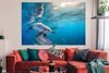 MuchoWow® Poster Delfin - Sonne - Wasser 180x120 cm - Produktbild-Vorschau 2