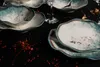 A close-up of a set of irregularly shaped plates and bowls with a marbled blue and white design, arranged on a black surface with scattered red berries and dried foliage. Voir les images du produit
